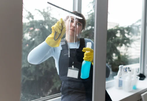 Nettoyage de vitres intérieures et extérieures à Trégourez